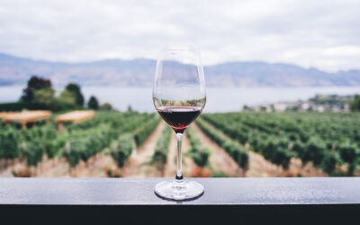 Kiderül az igazság: tényleg káros a vörösbor fogyasztása fogakra?