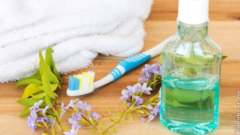 foginygyulladas-gyogynovenyek